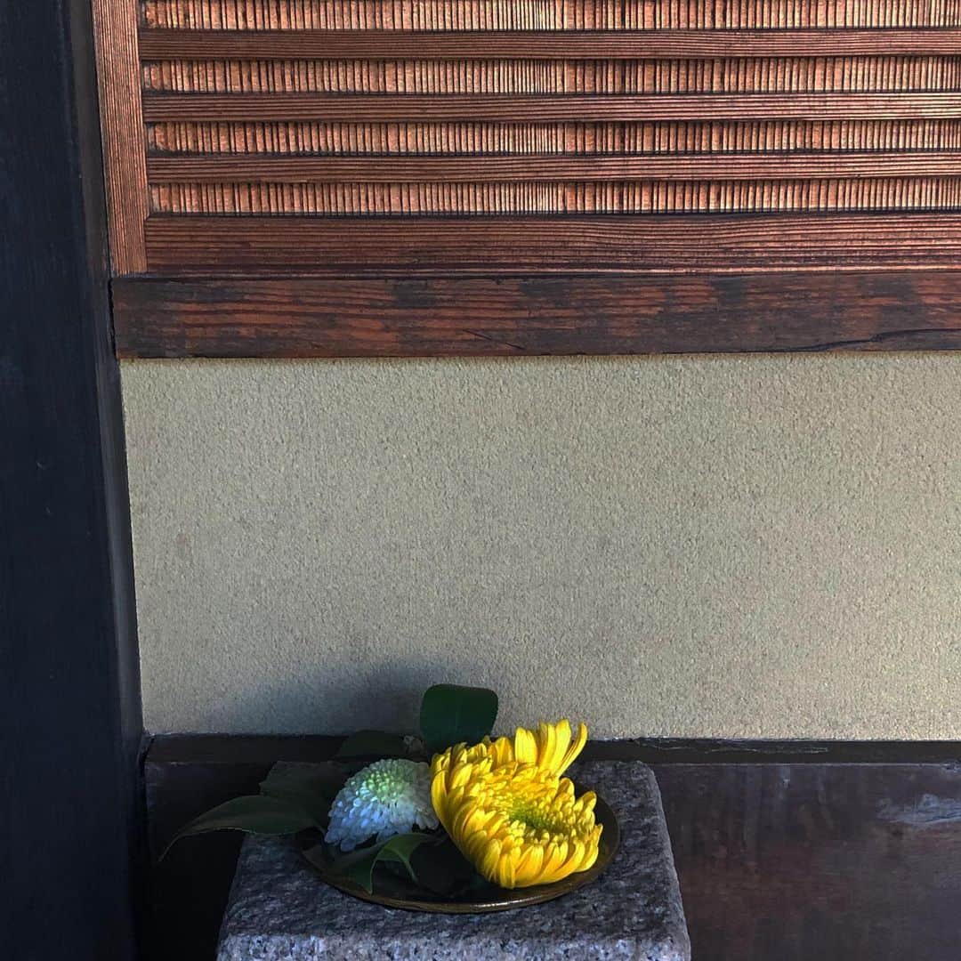 行正り香さんのインスタグラム写真 - (行正り香Instagram)「静かです。器やお花が美しい。日本はこんな魅力ある街並みだったのかと、改めて驚きます。#倉敷#行正り香 #rikayukimasa #今から倉敷帆布に#japan#okayama#kurashiki#a place to visit while you are in Japan」11月19日 8時34分 - rikayukimasa