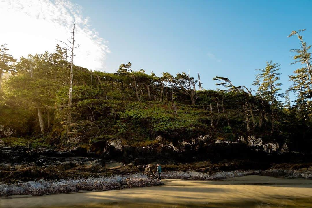 ダニエル・ノリスのインスタグラム：「I watched this man walk in the sand. Gaze at the water. Shield his eyes from the sun. Play a game with the tide. Study the rock. He received a phone call that he dismissed. He was present. Alone. Refreshed. Content. - go outside and wander. Wonder too.」