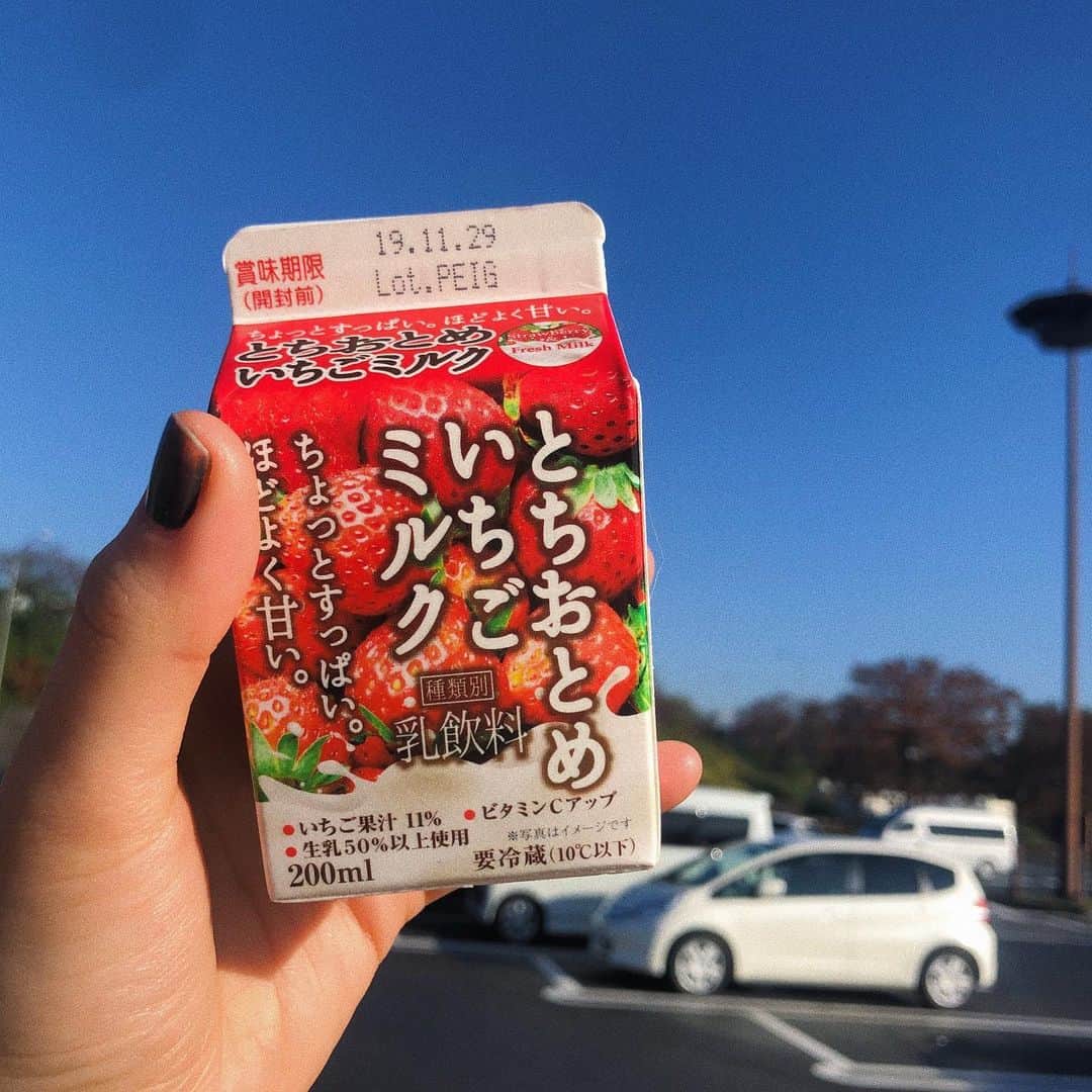 彩ステファニーのグルメインスタ