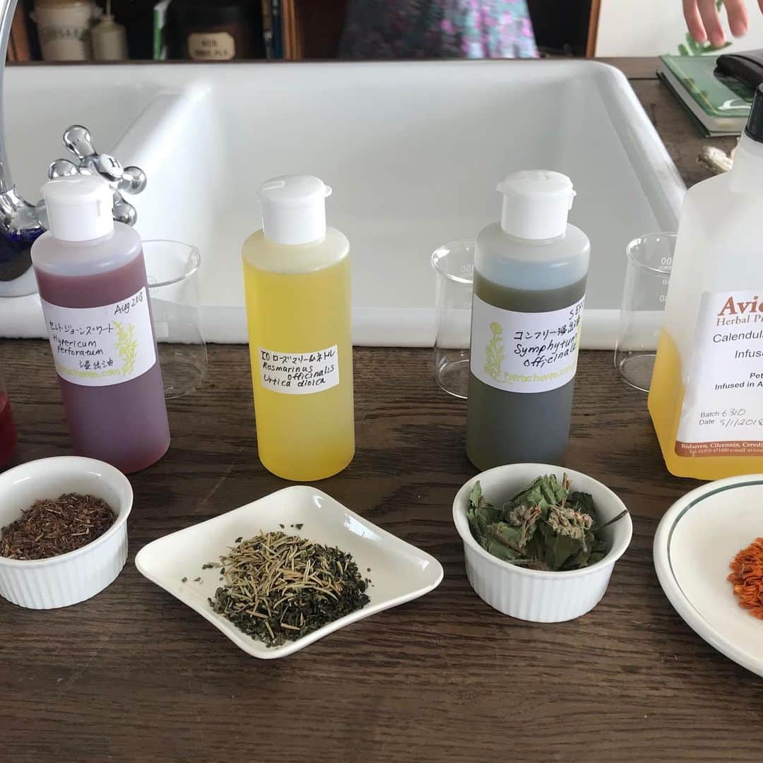 長田 佳子さんのインスタグラム写真 - (長田 佳子Instagram)「herb's haven+ foodremedies herb lesson 2019 11月はカレンデュラと抽出油について学びました。 どこか調香の真似事をできたような 嬉しさもありましたね。 ・ 昨年の秋にはじまり1年強が経ちましたが、 これまでお時間をみつけてご参加くださいましたみなさま本当にありがとうございました。 季節を通してハーブの印象をシェアすることにも少しずつ慣れ、自分の身体のあちこちに耳をすますことにも心地よくなってきた頃ではないかと思います。 ハーブへの寄り添い方を穏やかに導いてくださる 石丸先生にもありがとうございます。 ・ さて！！ 来年からはみんなでステップアップです。 よりよく意見交換のできる時間にしていけるよう、 私たちも色々と話し合っています。 引き続きどうぞよろしくお願い致します。 #D.apothecary」11月19日 9時47分 - foodremedies.caco