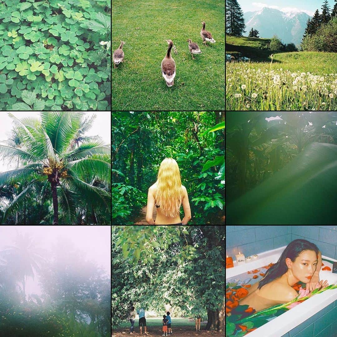 ヒョンア さんのインスタグラム写真 - (ヒョンア Instagram)「📸 ; @filmby_moon . . Green so Green 💚  스위스,하와이,태국이 담겨있는 피드.  겨울부터 차근차근 기록해야지.  2020을 바라보며📝 . . . #Hawaii#Thailand#switzerland#photography  #analogfilm#filmphotography#filmcamera」11月19日 9時47分 - moongom119