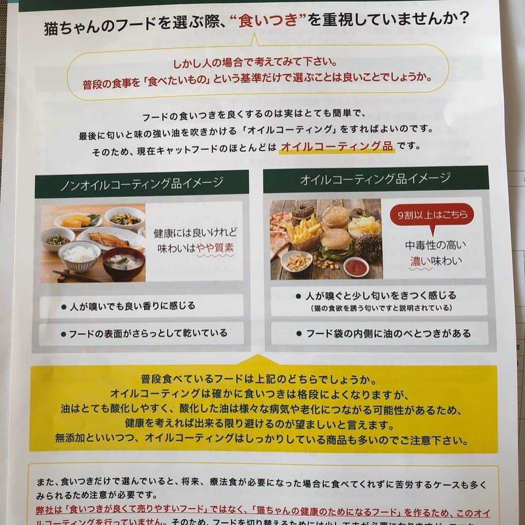 shigureさんのインスタグラム写真 - (shigureInstagram)「. @regalie_catfood  様の国産キャットフードのモニターをさせて頂きました ほんと凄いです! ノンオイルコーティングなので見た目が違い、ちょっとびっくり😆（オイルコーティングされてないとこんな感じなんだってわかりました） .  うちの2人はいきなりぱくぱく 気に入ったようです😻ストーリーにパクパク動画載せてます 「ねこちゃんとその家族が一つでも多くの想いでを作れるように」の色んなこだわりに感心しました！ ずっとモニターしてたい🤣 2人の🍚のために働き続けることを再決心しちゃった😂 .  https://regalie.jp/shopping/lp.php?adcd=njpgk8bolst&p=rcat01 . @regalie_catfood  #キャットフード#regalie #無添加#グレインフリー #国産 #レガリエもぐもぐ .  #みんにゃに元気を届け隊 #IGersjp#ねこ部#関西ねこ部 #ふわもこ部#mofmo #peco#pecon#サンデイ #sippo#朝ワンコ夕ニャンコ #みんねこ#ペコねこ部 #無敵の親バカ同盟 #nyancon01#picneko#ピクネコ #にゃんと素敵なひととき #アメリカンカール#茶トラ男子部 #三毛猫ガール#三毛女 #peppyフォト部 #2020は猫年」11月19日 9時57分 - shigureamanehaha