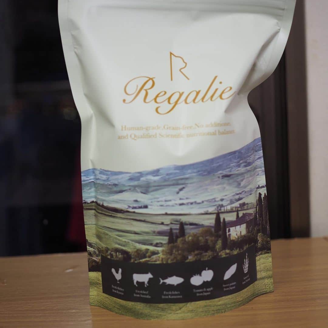 shigureさんのインスタグラム写真 - (shigureInstagram)「. @regalie_catfood  様の国産キャットフードのモニターをさせて頂きました ほんと凄いです! ノンオイルコーティングなので見た目が違い、ちょっとびっくり😆（オイルコーティングされてないとこんな感じなんだってわかりました） .  うちの2人はいきなりぱくぱく 気に入ったようです😻ストーリーにパクパク動画載せてます 「ねこちゃんとその家族が一つでも多くの想いでを作れるように」の色んなこだわりに感心しました！ ずっとモニターしてたい🤣 2人の🍚のために働き続けることを再決心しちゃった😂 .  https://regalie.jp/shopping/lp.php?adcd=njpgk8bolst&p=rcat01 . @regalie_catfood  #キャットフード#regalie #無添加#グレインフリー #国産 #レガリエもぐもぐ .  #みんにゃに元気を届け隊 #IGersjp#ねこ部#関西ねこ部 #ふわもこ部#mofmo #peco#pecon#サンデイ #sippo#朝ワンコ夕ニャンコ #みんねこ#ペコねこ部 #無敵の親バカ同盟 #nyancon01#picneko#ピクネコ #にゃんと素敵なひととき #アメリカンカール#茶トラ男子部 #三毛猫ガール#三毛女 #peppyフォト部 #2020は猫年」11月19日 9時57分 - shigureamanehaha