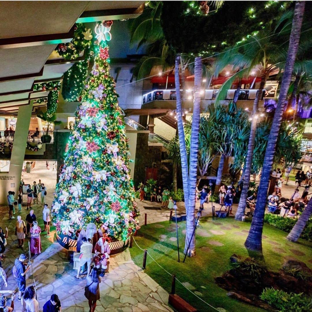 ロイヤル・ハワイアン・センターさんのインスタグラム写真 - (ロイヤル・ハワイアン・センターInstagram)「水曜の18時から20時まで、クリスマスセレブレーション！ツリーのライティング、トローリーでサンタマーティンの到着、そしてハワイアンエンターテイメントもありますよ！ ・ ・ ・ ・ #クリスマス#ハワイアン#ハワイ#サンタ #サンタクロース#冬が来た」11月19日 19時42分 - royalhwnctrjp