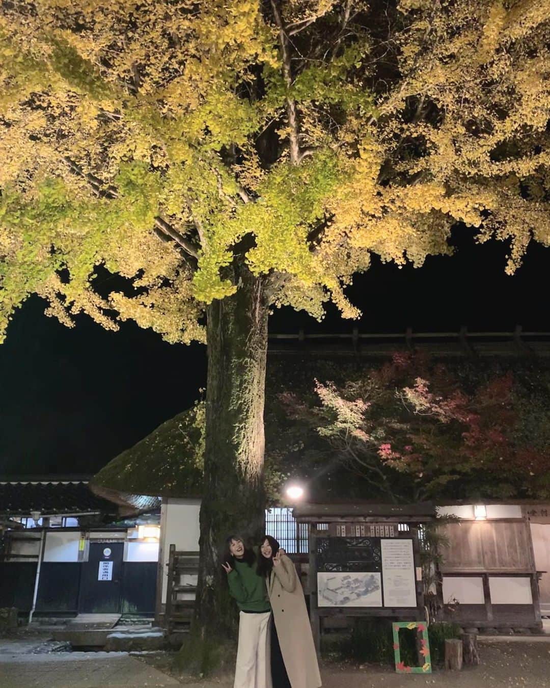 野村明日香のインスタグラム：「﻿ 🍁🍂🍁🍂 ﻿ ﻿ ﻿ ﻿ #香嵐渓 #愛知 #豊田 #紅葉 #ライトアップ #秋 #食べ歩き #紅葉狩り﻿ ﻿」