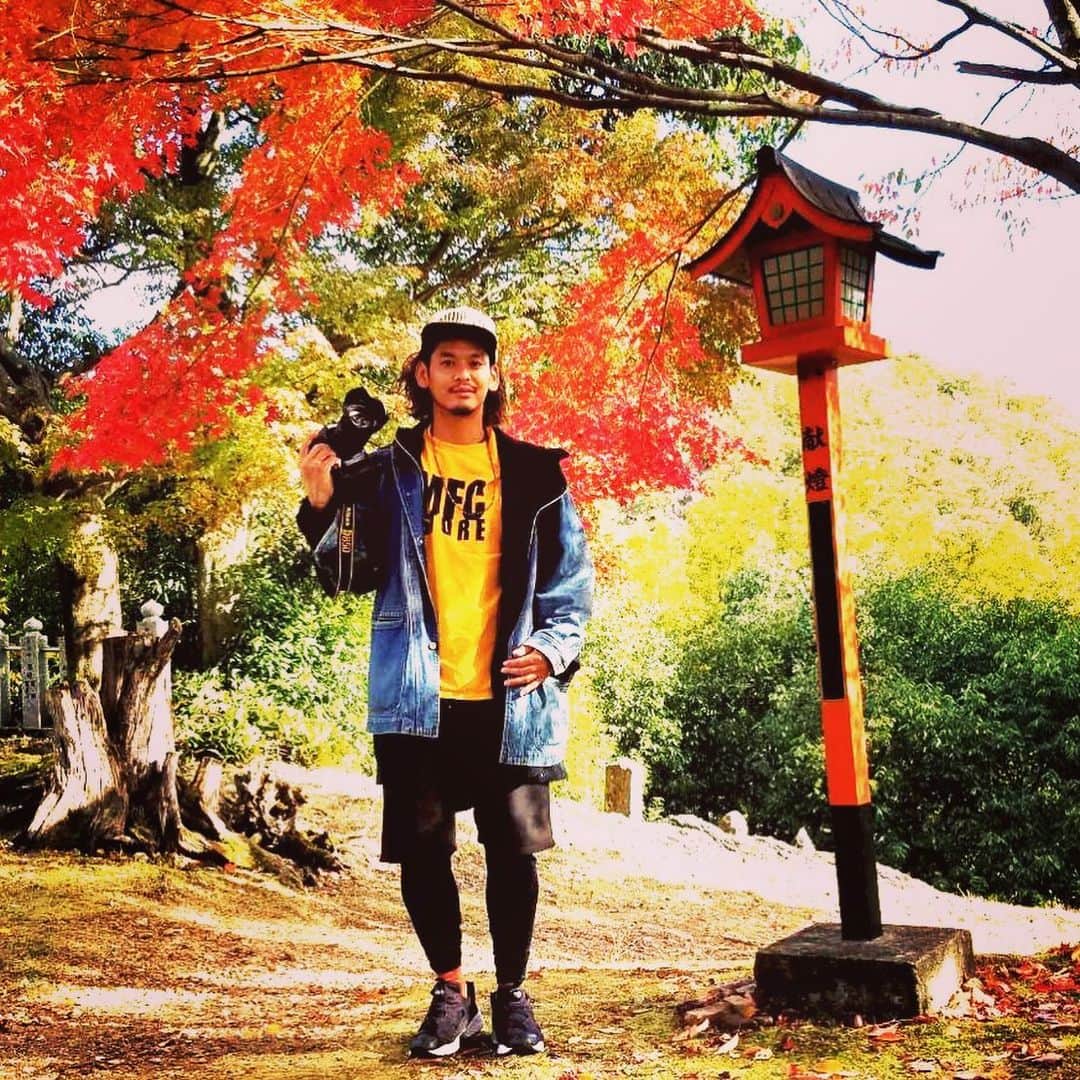 五十嵐恭雄さんのインスタグラム写真 - (五十嵐恭雄Instagram)「毎月恒例の #名古屋旅 🚶‍♂️今回は #寂光院 の #紅葉 を見に行きました🍁  美しい景色は心が洗われます🙏  Tシャツも紅葉カラーをセレクト。🍁 #日本 #japan #旅 #犬山市 #愛知　#名古屋 #旅人」11月19日 20時00分 - yasuo_ikarashi_