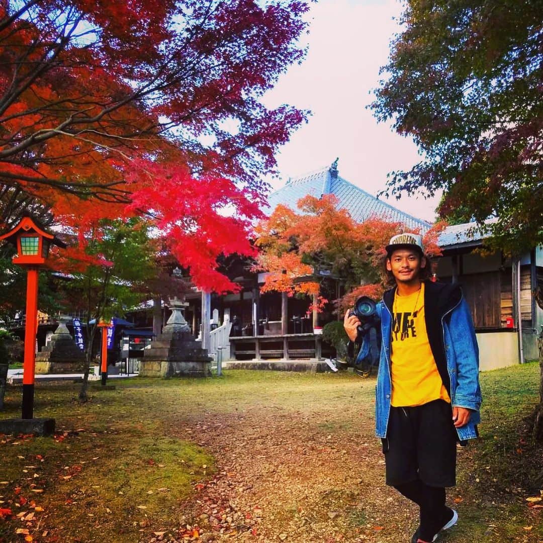 のインスタグラム：「毎月恒例の #名古屋旅 🚶‍♂️今回は #寂光院 の #紅葉 を見に行きました🍁  美しい景色は心が洗われます🙏  Tシャツも紅葉カラーをセレクト。🍁 #日本 #japan #旅 #犬山市 #愛知　#名古屋 #旅人」
