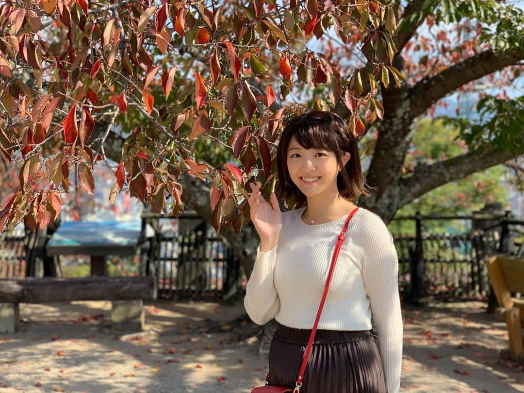 黒木千晶さんのインスタグラム写真 - (黒木千晶Instagram)「みなさんが紅葉の写真をあげているので便乗して🍁 これはソメイヨシノの木です🤣 謎のポーズとともに🤣  #紅葉 #というより #落葉する直前？笑」11月19日 20時42分 - kuroki.ytv