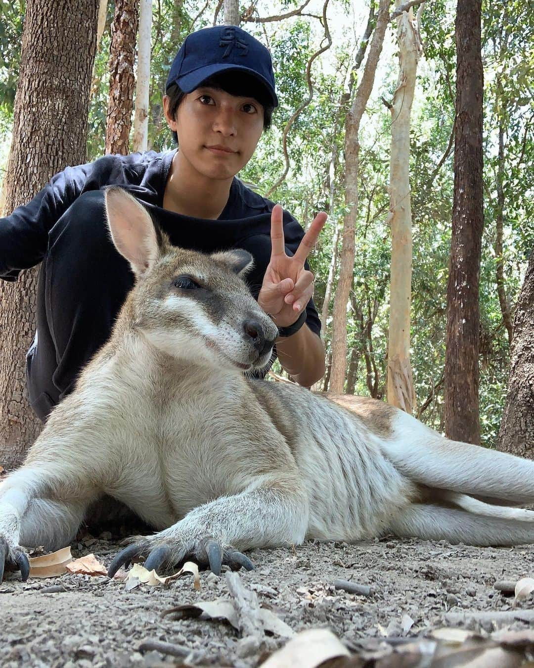 森光さんのインスタグラム写真 - (森光Instagram)「ワラビーさん🦘可愛いお顔なのにガタイが良くてマッチョに見える💓カンガルー科の小型種のもので後ろ脚が小さくしっぽは短いが習性はカンガルーに似ているそうです🇦🇺🌏. #オーストラリア #ケアンズ #ワラビー #australia #cairns #wallaby」11月19日 12時33分 - traveler55morimori