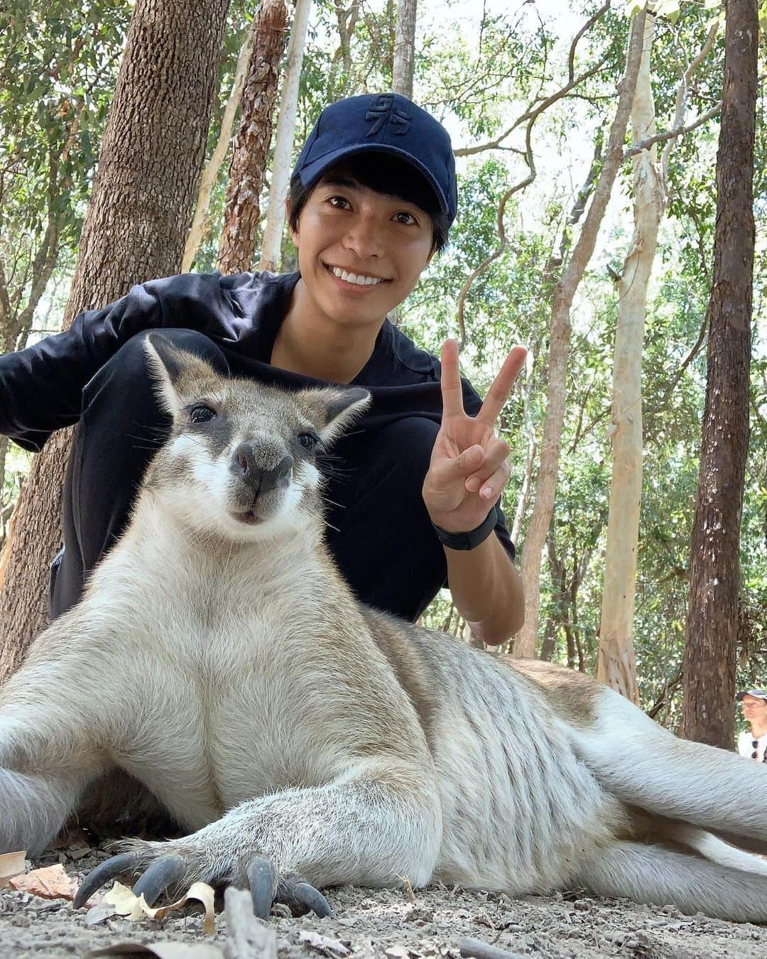 森光のインスタグラム：「ワラビーさん🦘可愛いお顔なのにガタイが良くてマッチョに見える💓カンガルー科の小型種のもので後ろ脚が小さくしっぽは短いが習性はカンガルーに似ているそうです🇦🇺🌏. #オーストラリア #ケアンズ #ワラビー #australia #cairns #wallaby」