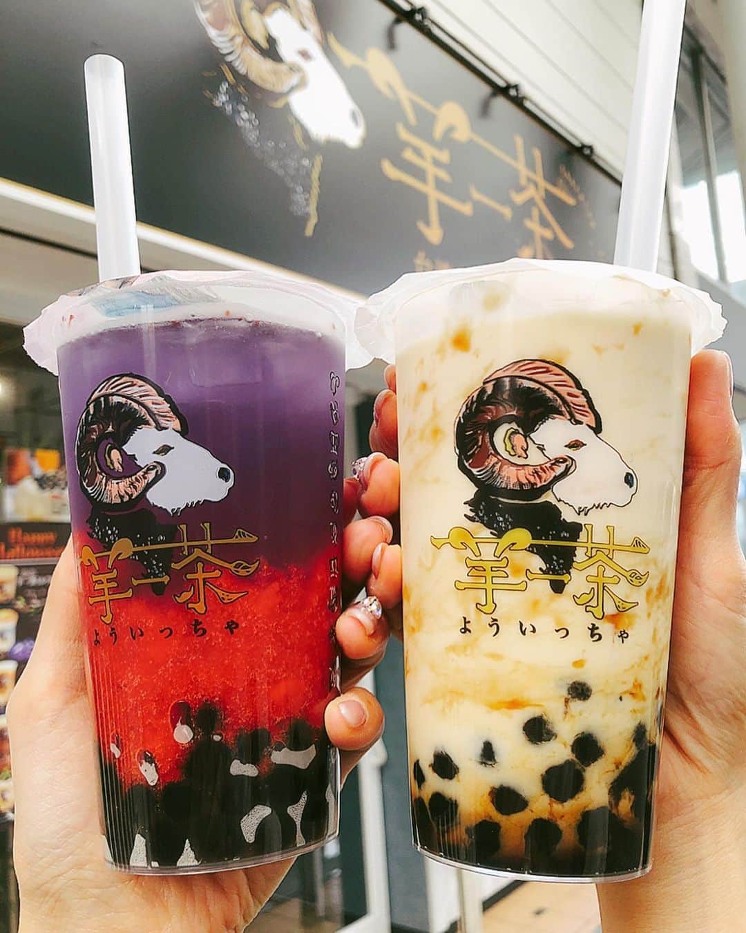 とぎもちさんのインスタグラム写真 - (とぎもちInstagram)「♡ 【高松 다카마쓰】 羊一茶のでタピる♡ この前地元帰った時に飲みに行ってここの焦がし青い空飲んだらすごく美味しくて今回は別メニュー飲みに来た🤤💕 今回は白桃烏龍ミルクティーと夕焼け💕 白桃烏龍ミルクティーは白桃の味そんなにしなかったけど美味しい黒糖ミルクにもちもちタピオカだった💓💓 冷たい飲み物に熱々タピオカが嬉しい💕 そして夕焼けの方は色過激だけど、いちごの果肉たっぷりの美味しいいちごジュース🍓💕 果肉の量すごくて夕焼け結構好きかも😳💓💓 ♡ #羊一茶高松店 #羊一茶 #白桃烏龍ミルクティー #夕焼け #タピオカミルクティー #タピオカ黒糖ミルクティー #高松 #香川 #日本 #高松グルメ  #香川グルメ  #日本 #高松タピオカ #瓦町 #요이짜 #요우이짜 #다카마쓰 #카가와 #다카마쓰맛집 #카가와맛집 #카가와여행 #다카마쓰여행 #먹스타그램 #토기모치 #とぎもち #とぎもちkorea #토기모치mukbang #먹방 #유튜버 #유튜브」11月19日 13時07分 - togistagram