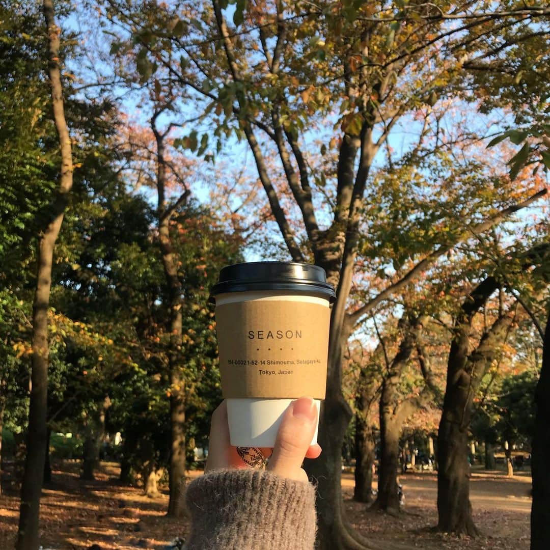 のインスタグラム：「🍂🍂🍂 #cafe #setagayapark #紅葉 ・ ・ ・ 名前からして健康そうだからモリンガティー👩‍🦰💭」