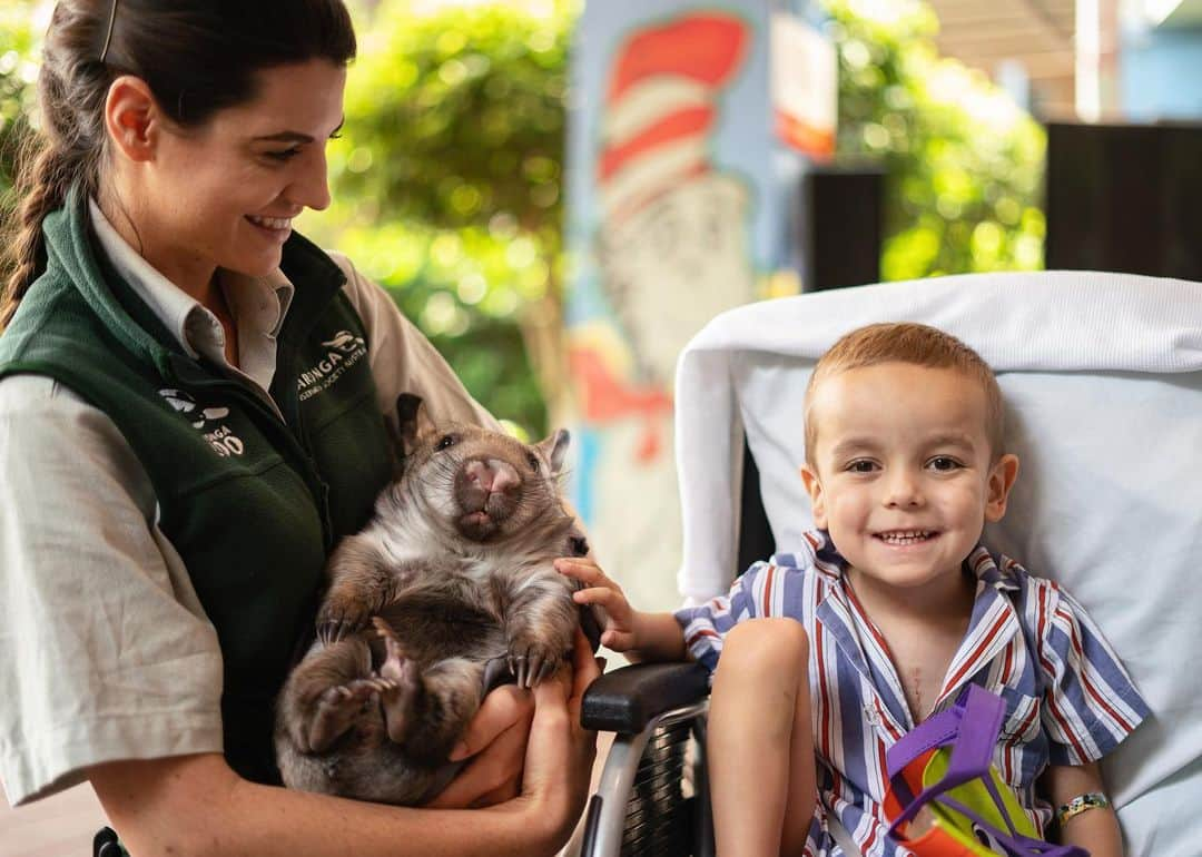 タロンガ動物園さんのインスタグラム写真 - (タロンガ動物園Instagram)「Yesterday @sdzookids TV launched our recent collaboration to bring educational and entertaining stories from our two amazing zoos to children in care at @westmeadkids and the @ronald_mcdonald_house charities.  We hope that the children and their incredible support networks enjoy the stories portrayed in this wonderful service and that it inspires lasting connections between people and wildlife.  #forthewild」11月19日 13時56分 - tarongazoo