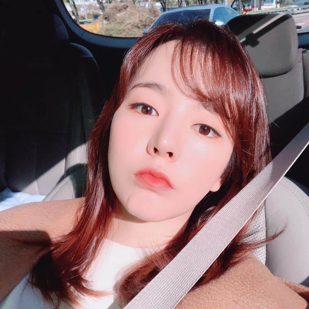 サニー のインスタグラム：「공기는 차갑고 엉따와 햇살은 따뜻한 것이.... 이동중 낮잠자기 딱 좋은 계절이구나......!! #단풍구경은차창너머로」