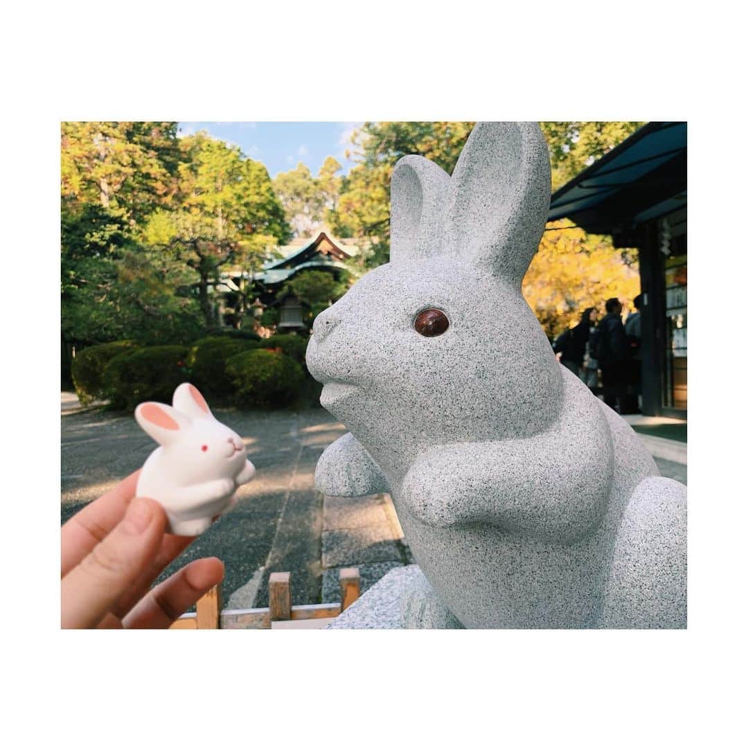神田莉緒香さんのインスタグラム写真 - (神田莉緒香Instagram)「--- 狛犬ならぬ、狛うさぎ。 . . #京都 #狛うさぎ」11月19日 14時17分 - riokanda_ri