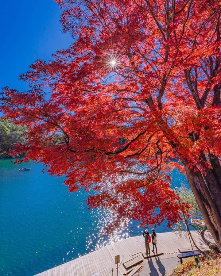 日本の国立公園さんのインスタグラム写真 - (日本の国立公園Instagram)「Photo by @tsumizo⠀ https://www.instagram.com/p/B4sxfmGAm8Y/⠀ .⠀ #磐梯朝日国立公園⠀ #BandaiAsahiNationalPark⠀ .⠀ On our Instagram, we will also share wonderful photos of National Parks of Japan posted on Instagram with the tag #nationalparksjp. We look forward to your participation!⠀ .⠀ #NationalPark #nationalparks #nature #findyourpark #instafollow #japan #landscape #landscape_lovers #ourplanetdaily #landscapephotography #hiking #outdoors #traveling #travel #explore #visitjapanjp #日本 #國家公園 #일본 #국립공원 #国立公園」11月19日 15時00分 - nationalpark_japan