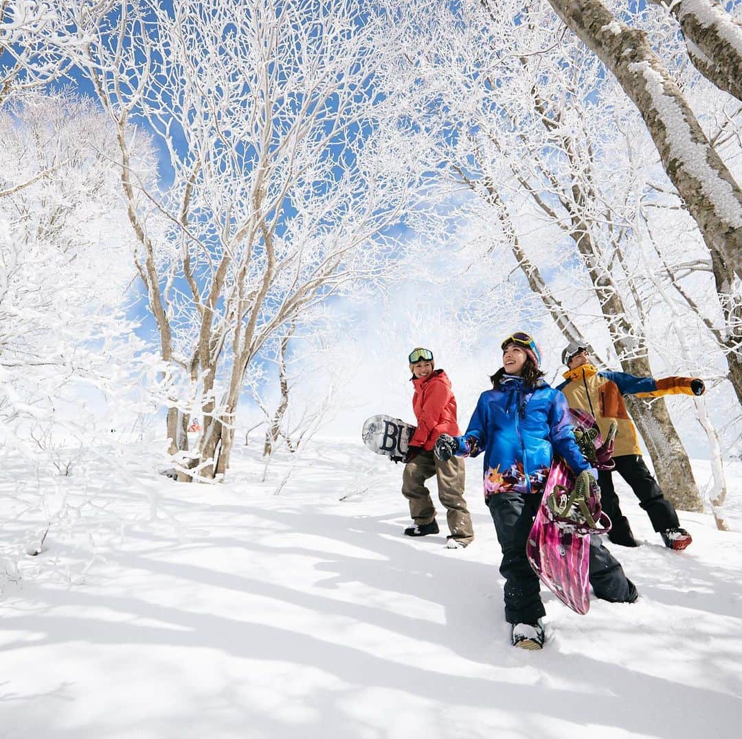 星野リゾートさんのインスタグラム写真 - (星野リゾートInstagram)「【2つのスキー場を1日で楽しめる徒歩ルートが開通】﻿ ﻿ Glide between two thrilling ski resorts in just one day﻿ ﻿ 紅葉も終わりに近づき、スノーシーズンがやってきますね！今冬は磐梯山と猪苗代湖を望むスキー場「アルツ磐梯」と、全国でも屈指の良質なパウダースノーが降り積もる「猫魔スキー場」、2つのゲレンデをつなぐ雪上徒歩ルートが2020年1月に開通いたします。これにより、朝一番に猫魔スキー場のパウダースノーを楽しんだ後、アルツ磐梯に移動し、磐梯山と猪苗代湖の絶景が広がる開放的なゲレンデを楽しむなど、1日で両スキー場を楽しめます。﻿ ﻿ 約160日間かけて2つのスキー場を滑り尽くすことができる「アルツ磐梯・猫魔スキー場2019-20年共通シーズン券」も販売中。営業時間の30分前からゲレンデを楽しめる「ファーストライド」無料などシーズン券ならではの特典もあります。11月30日までは早割を行っていますので、今年はスキー・スノーボードにのめり込みたい！という方はチェックいただけると嬉しいで﻿す！ ﻿ #HoshinoResorts #星野リゾート #AltsBandai #アルツ磐梯 #NekomaSnowPark #猫魔スキー場 #Fukushima #MtBandai #福島県 #磐梯 #磐梯山 #スキー場 #Skiresort #Skiarea #skipark #snowpark #snowsports #travelJapan #ig_Japan #MyTinyAtlas #JapanTravel #ゲレンデ #パウダースノー」11月19日 15時18分 - hoshinoresorts.official