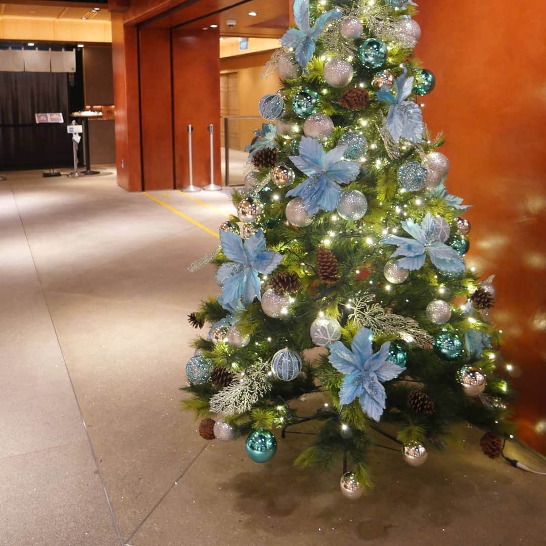 Japan Food Townさんのインスタグラム写真 - (Japan Food TownInstagram)「Season's Greetings from Japan Food Town🎄🎅 Footsteps of Christmas is around the town. You will find the beautiful Christmas Tree in the Japan Food Town.  We will announce Christmas Promotion of each outlet so make you ready to enjoy your year end at your favourite restaurant in Japan Food Town!! Japan Food Town is located at 435 Orchard Road, Wisma Atria Unit 04-39/54.  Japan Food Townから季節のご挨拶🎄🎅 オーチャードロードも綺麗に飾り付けがされて今年もクリスマスの足音が聞こえて来ましたね。Japan Food Townにも素敵なクリスマスツリーがお目見えしました。お越しの際にはクリスマス気分になれますように！  Japan Food Town内の店舗でもクリスマスのプロモーションを準備中です。プロモーションが決まりましたらこちらのFacebookページでさせて頂きますのでお楽しみにね！ クリスマスや忘年会等年末のお食事はJapan Food Townのお気に入りのお店で是非どうぞ！  #japanfoodtown #japanesfood #eatoutsg #sgeat #foodloversg #sgfoodporn #sgfoodsteps 　#instafoodsg #japanesefoodsg #foodsg #orchard #sgfood #foodstagram #singapore 　#wismaatria #christmas #seasonsgreetings #yearend #santa #christmastree #xmas」11月19日 15時32分 - japanfoodtown