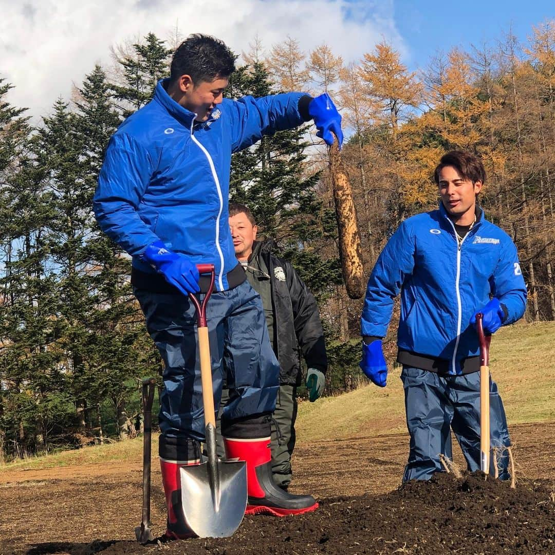 北海道日本ハムファイターズさんのインスタグラム写真 - (北海道日本ハムファイターズInstagram)「今日と明日は応援大使として各市町村へ☃️💨 #lovefighters #応援大使 #美味しいもの沢山いただいています #増毛町 #由仁町 #岩見沢市 #蘭越町」11月19日 15時33分 - fighters_official