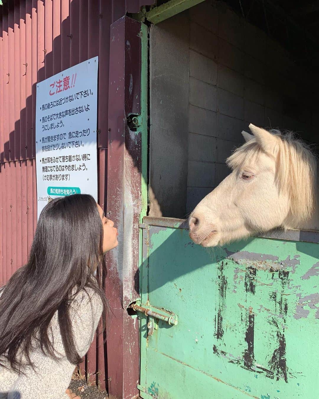 サラ・コールディのグルメインスタ