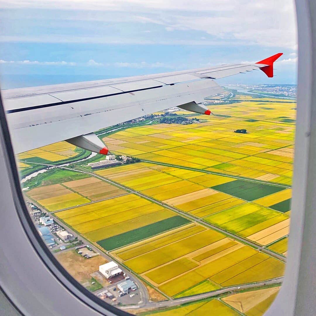 ジェットスター航空のインスタグラム