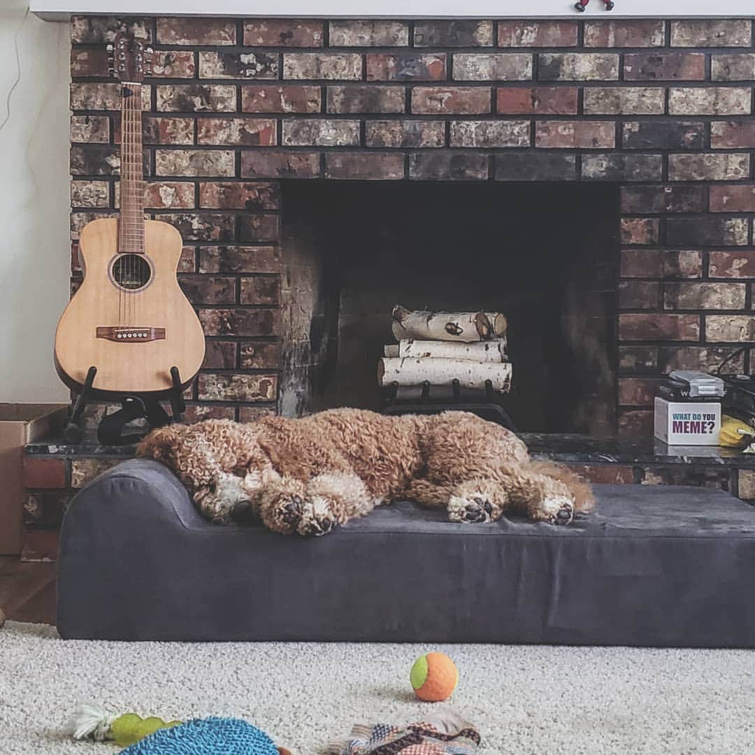 ソフィー・シュミットのインスタグラム：「These are some of my favourite things! 🐶 🎸 🎶 🔥 🛌 .. What others would you include on the list!?!」