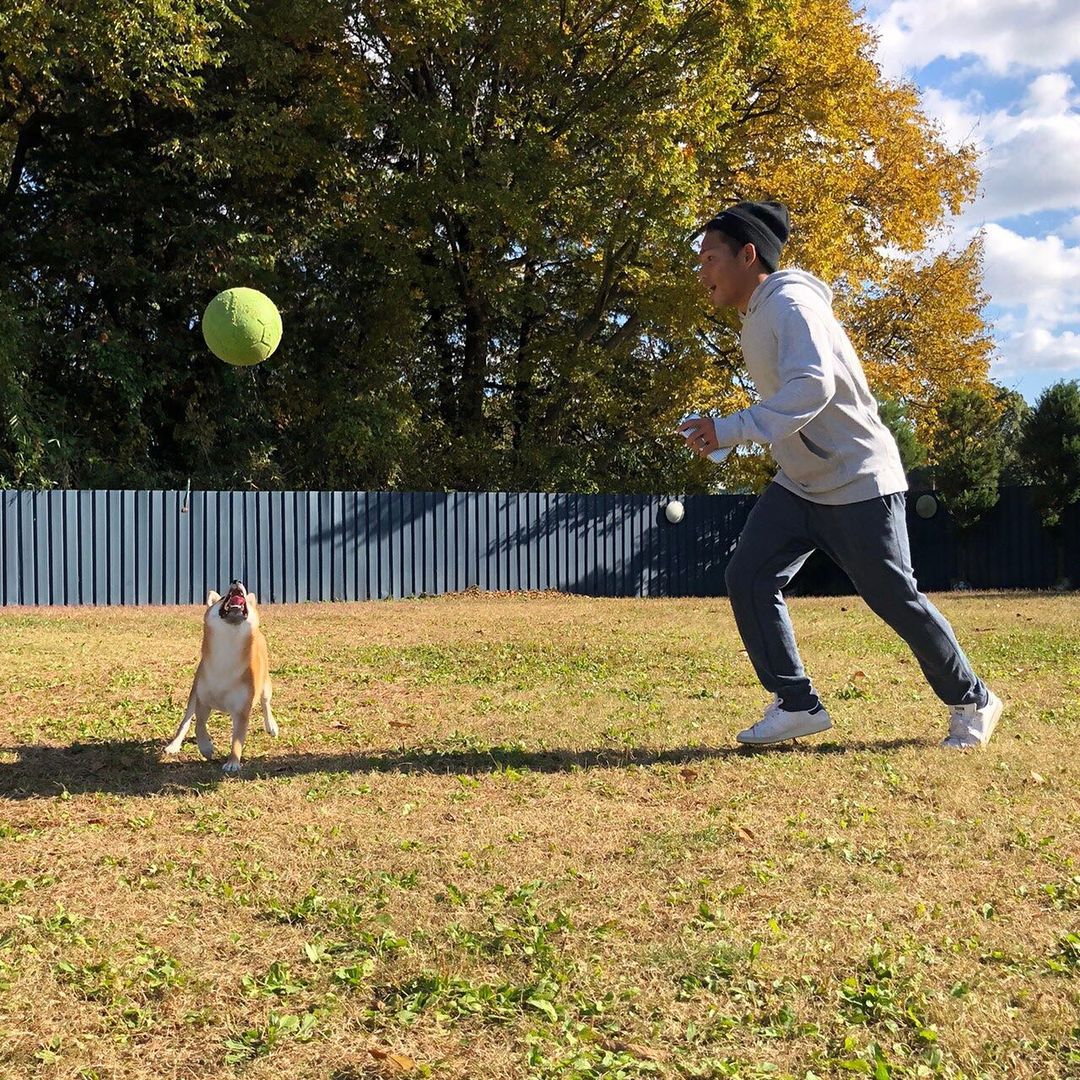 榊翔太さんのインスタグラム写真 - (榊翔太Instagram)「秋🍂 オフは家族でゆっくり過ごすといいですね😄✨ 2週続けてドッグラン🐕  #撮影者嫁　#コロちゃん　#女の子　#柴犬　#サッカー　#秋」11月19日 16時54分 - shota.sakaki