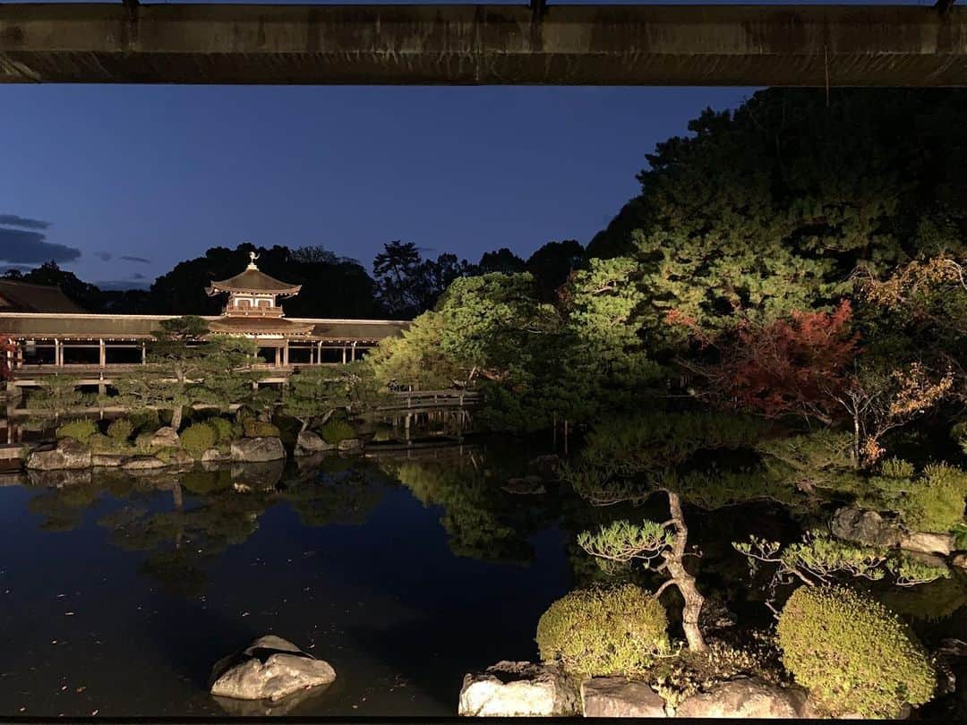村田千弥さんのインスタグラム写真 - (村田千弥Instagram)「今日も京都で🎤 平安神宮会館の池泉回遊式庭園、昼間も素敵だけど暗くなってライトアップされた風景もまた良し。 少し紅葉してきてる🍁」11月19日 17時29分 - chr.0429