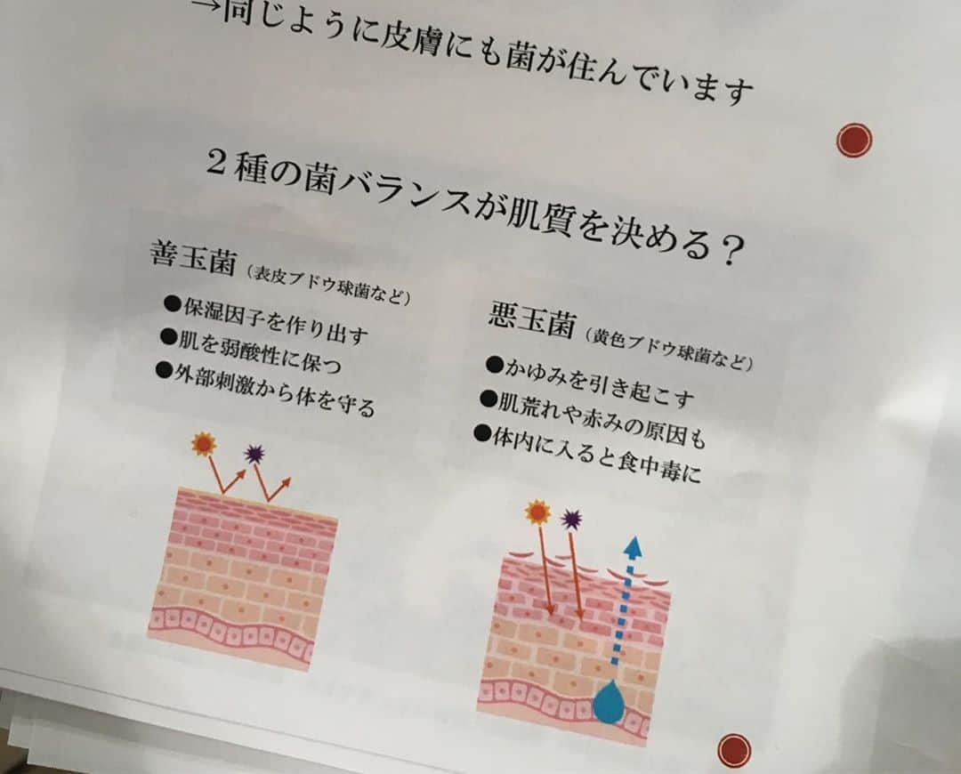 大湯みほさんのインスタグラム写真 - (大湯みほInstagram)「……… ✨食べ物で肌は作られている…✨ ・ まさに、その通りだなぁ🌱と思いました。前回同様、今回も『organic・natural』と言ったテーマでのセミナーに参加させていただきましたが、skin careは3割・あとの7割は食べ物や生活環境というようなお話を聞いて、本当にそうだなぁ☺️と思いました！ ・ やはりここでも、腸内環境✨や✨常在菌✨のお話が出てきて、人の美容・健康・と✨腸✨は🌱切っても切り離せないものなんだと改めて感じました！ ・ ひーちゃん🌷付き合ってくれてありがとう！✨ひーちゃんとは…かれこれ、10年以上一緒にいるのに、どちらも自然体でず〜っと居られるから、まるで恋人のような、よくいう空気✨のような存在でもあるので、価値観が一緒の人との時間ってほんとあっという間すぎて…いつも足りません😂笑 ・ また、ゆっくりね〜🌷 ・ #ネオナチュラル #neonatural #ネイチャーズフォー #naturesfor #発酵食品 #腸内環境 #健康 #美容 #常在菌 #乳酸菌 #ぬか漬け #ぬか漬けマイスター #大湯みほ #相澤仁美 #organic #healthy #skincare」11月19日 17時58分 - nukazukemiho0320