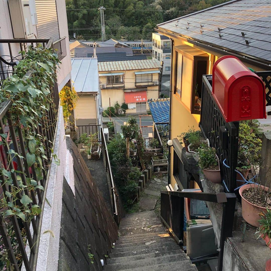 櫻井リヤさんのインスタグラム写真 - (櫻井リヤInstagram)「階段が多い街に惹かれる#階段#坂道#麻生区」11月19日 18時10分 - liya_sakurai