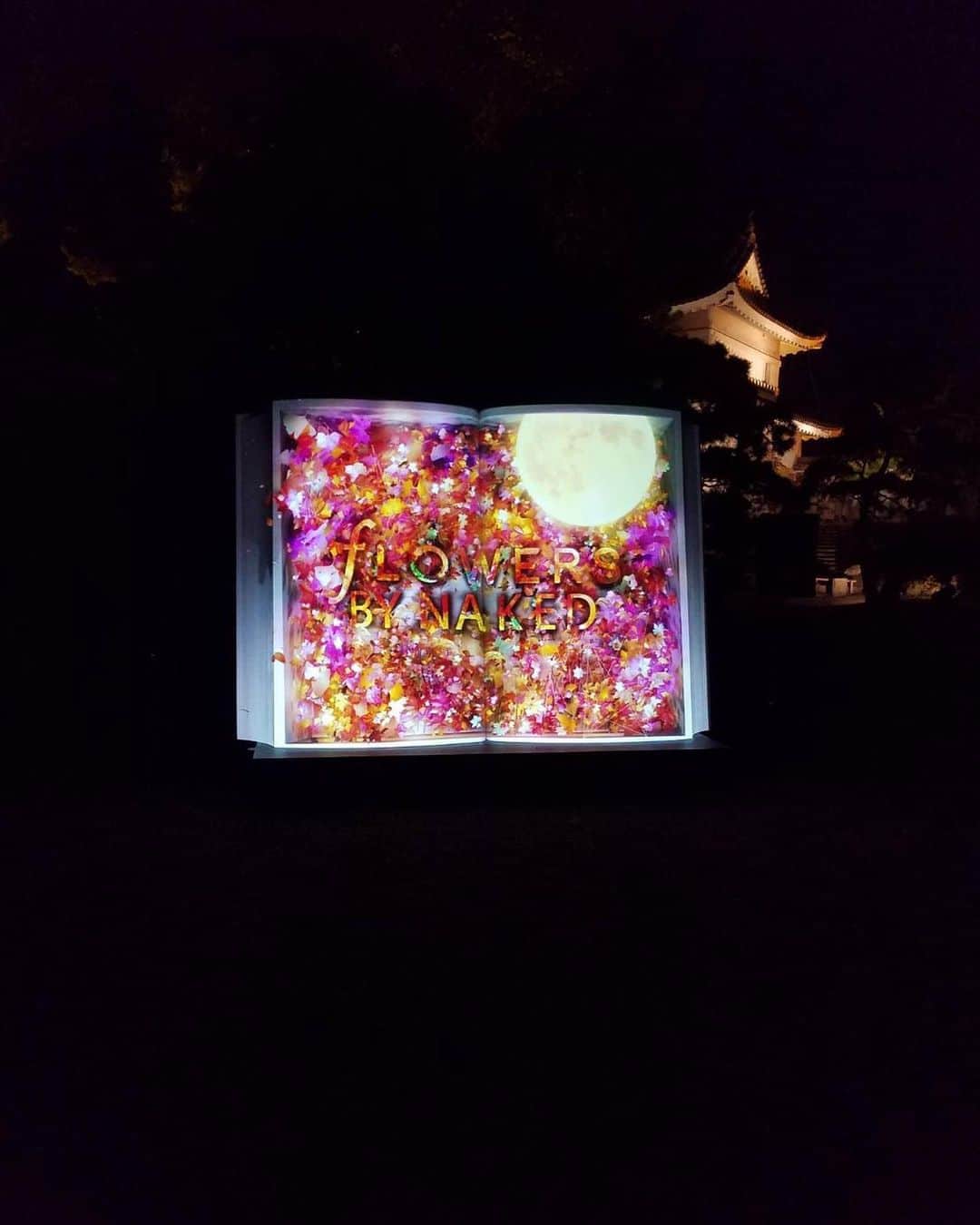永島聖羅さんのインスタグラム写真 - (永島聖羅Instagram)「二条城へ…！ . . 綺麗すぎた。。 . . #二条城 #京都」11月19日 18時24分 - seira_nagashima