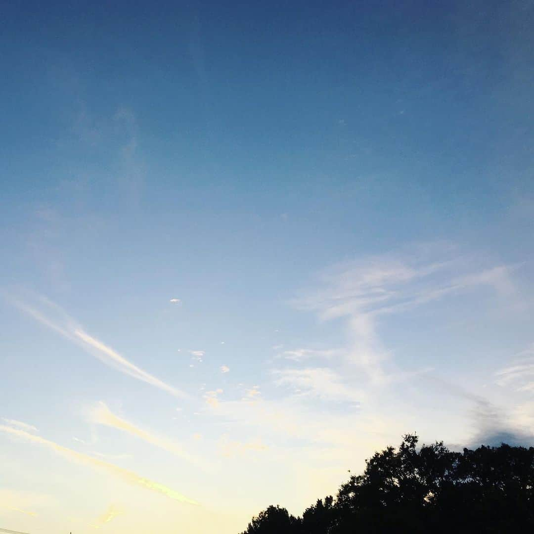 平野由実さんのインスタグラム写真 - (平野由実Instagram)「真っ暗になるまで公園で遊び続ける子どもたち。  暗くなると寒さが増して見えにくくなるので帰りたい。  エネルギッシュな子たちに驚くばかり。  親も負けじと体力つけねば。  空が広いと気持ちいい。  #先日の話」11月19日 18時40分 - yumi_hiranoo