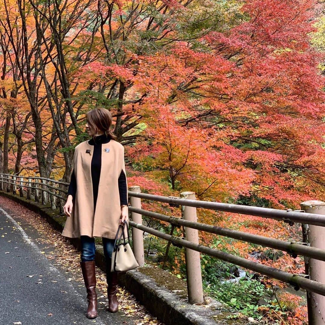 kazumint20さんのインスタグラム写真 - (kazumint20Instagram)「. 母のリクエストで紅葉を見に。 加工なしでこの鮮やかさ。 . 日本の四季は本当に美しい🍁🍁。 . . . . #紅葉 #紅葉狩 #秋 #instaphoto #instalike #instagramjapan . .」11月19日 19時22分 - kazumint20