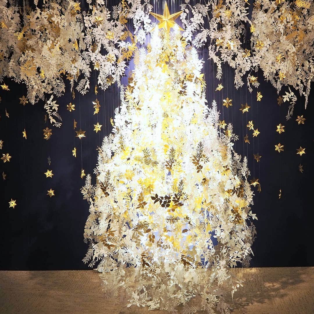 Kuboi Ayumiさんのインスタグラム写真 - (Kuboi AyumiInstagram)「かわいいクリスマスフォトスポットが銀座に登場！  実はこちら、『GINZA TANAKA（@ginzatanaka_jp）』6階のホールです。 ペーパーアーティスト　菅野 一剛さんの作品がたくさん展示されていて、美しく幻想的な空間に。 クリスマスを彩るゴールドとペーパーアートの世界を楽しむことができます。 ツリーやテーブルセッティングなどのインテリアを見るだけなら無料ですよ。  現在GINZA TANAKAでは、CHRSTMAS JEWERLY FAIR 2019が12月25日までの期間限定で開催されているのですが ひと足お先に体験させていただいてきました。  私がお邪魔させていただいたのは、銀座本店。 店内には、プロの技が作り出す洗練されたデザインのオリジナルジュエリーがズラリと並んでいます。 植物や動物をモチーフにした愛らしい純金オブジェのコレクションもかわいくて。  その中でもひと際目を引くのは、たくさんのウィーン金貨と、オーストリア造幣局設立825周年記念 オリジナルベアブリック付きウィーン金貨ハーモニー コインペンダント。  今年はオーストリア造幣局の設立825周年と、ウィーン金貨ハーモニー日本発売30周年というアニバーサリーイヤーにあたるそうで、その記念に特別限定販売される商品です。  我が家にもベアブリックがいくつかあるのですが、このベアブリックの腹部と背面には、それぞれにウィーン金貨ハーモニーの表裏のデザインが施されゴージャスなデザインに。  実際にペンダントをつけさせていただいたのですが、やっぱりゴールドのアクセサリーは特別感があります。 もうすぐクリスマスですし、頑張った自分へのご褒美や大切な方への贈り物にもいいですね。 ・ ・ ＊ウィーン金貨を発行・製造しているオーストリア造幣局から局長（とマーケティングディレクター）が来日していたので、一緒に撮影させていただきました。  #クリスマス #Christmas #インスタ映え #gold #ギンザタナカ #ginzatanaka #ベアブリック #クリスマスギフト #pr #ウィーン金貨ハーモニー #田中貴金属 #菅野一剛」11月19日 19時22分 - himekagami