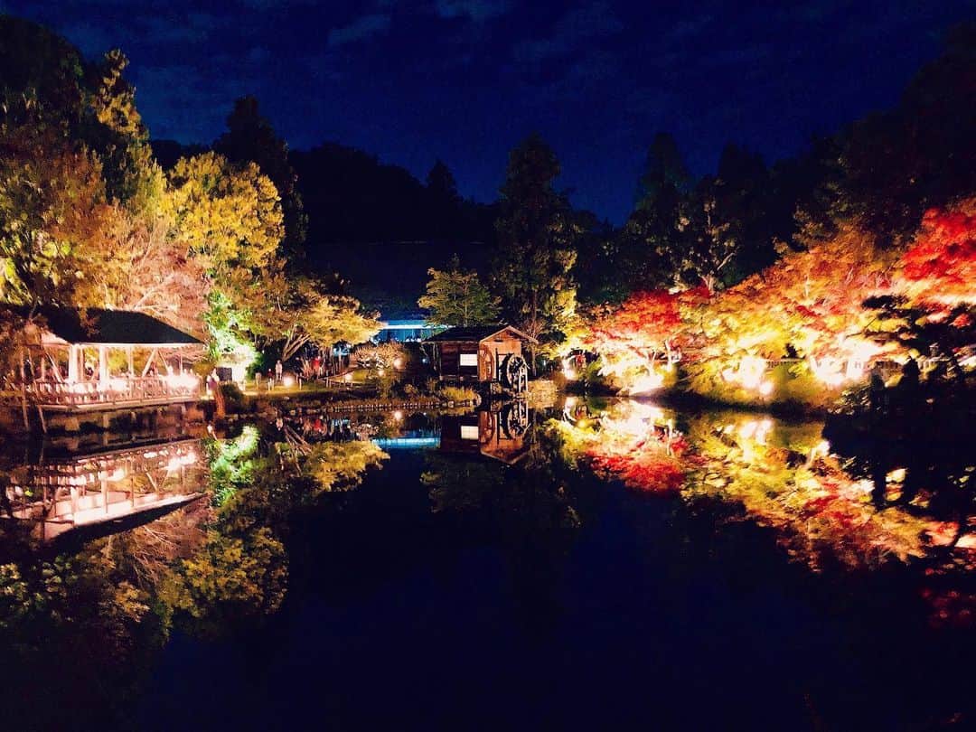 のインスタグラム：「#東山動植物園 ライトアップ🍁 水面に映る#逆さ紅葉 が綺麗でした✨ ・ 香嵐渓へ行った翌日に行きました☻ 名古屋に来てから急にフットワークが軽くなった気がします！ ・ #東山動植物園ライトアップ #紅葉狩り #紅葉 #アナウンサー #愛知 #aichi #南雲穂波 #iPhone8」