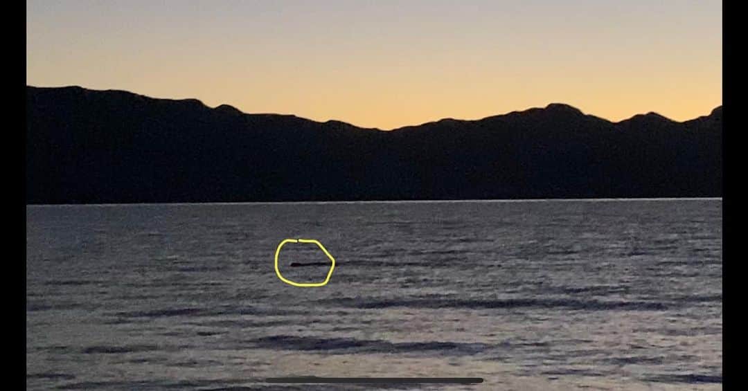 ジェイコブ・ダルトンのインスタグラム：「OKAY... Time to VOTE 🗳 👇🏼 I saw something a bit creepy when I was out at pyramid lake by myself fishing one morning..... Make a video about it? Or no? Comment below!  #PyramidLake #ParanormalActivity  #ItWasFreaky」
