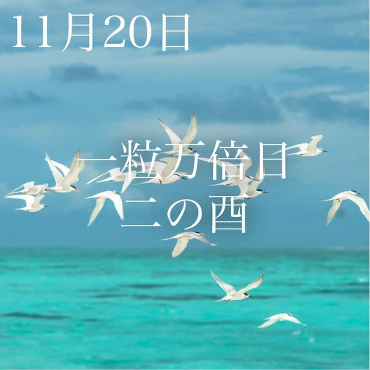 SOLARITAさんのインスタグラム写真 - (SOLARITAInstagram)「【11月20日の運勢】 . 本日は一粒万倍日です！ そして「二の酉」の日でもあり 二つの吉が重なった良き日です！ . 本日は一粒万倍日です！やはり良い響きですね、一粒万倍日。一粒が万倍に実るという収穫の日であり、また未来に向けて種まきを行う日でもあります。そして本日の干支は「酉」。そう、二回目の酉の日つまり「二の酉」でもあります。一粒万倍日と商売繁盛と収穫を祝う酉の日が重なったハッピーな1日です！ . 本日6時10分、月は下弦になり27日の新月に向かいます。また10時54分には月は乙女座に移動。年末に向けて部屋や物事の整理を始めるにはいいタイミングの日です。 . そして明日未明、逆行を続けていた水星がついに正しい方向に向き直ります！約3週間の調整期間を終えて、明日からはスッキリしたコミュニケーションが戻ってきます！ . #solarita #ソラリタ #占い #占星術 #星占い #暦  #日めくり #一粒万倍日 #天赦日 #四柱推命 #干支 #月  #新月  #満月 #月 #十二直 #新月  #太陽  #水星  #大安  #満月  #冥王星逆行 #火星  #二十四節気 #七十二候　#水星逆行  #スピリチュアル #水星順行  #二の酉　#鬼宿日」11月20日 6時01分 - solarita_official