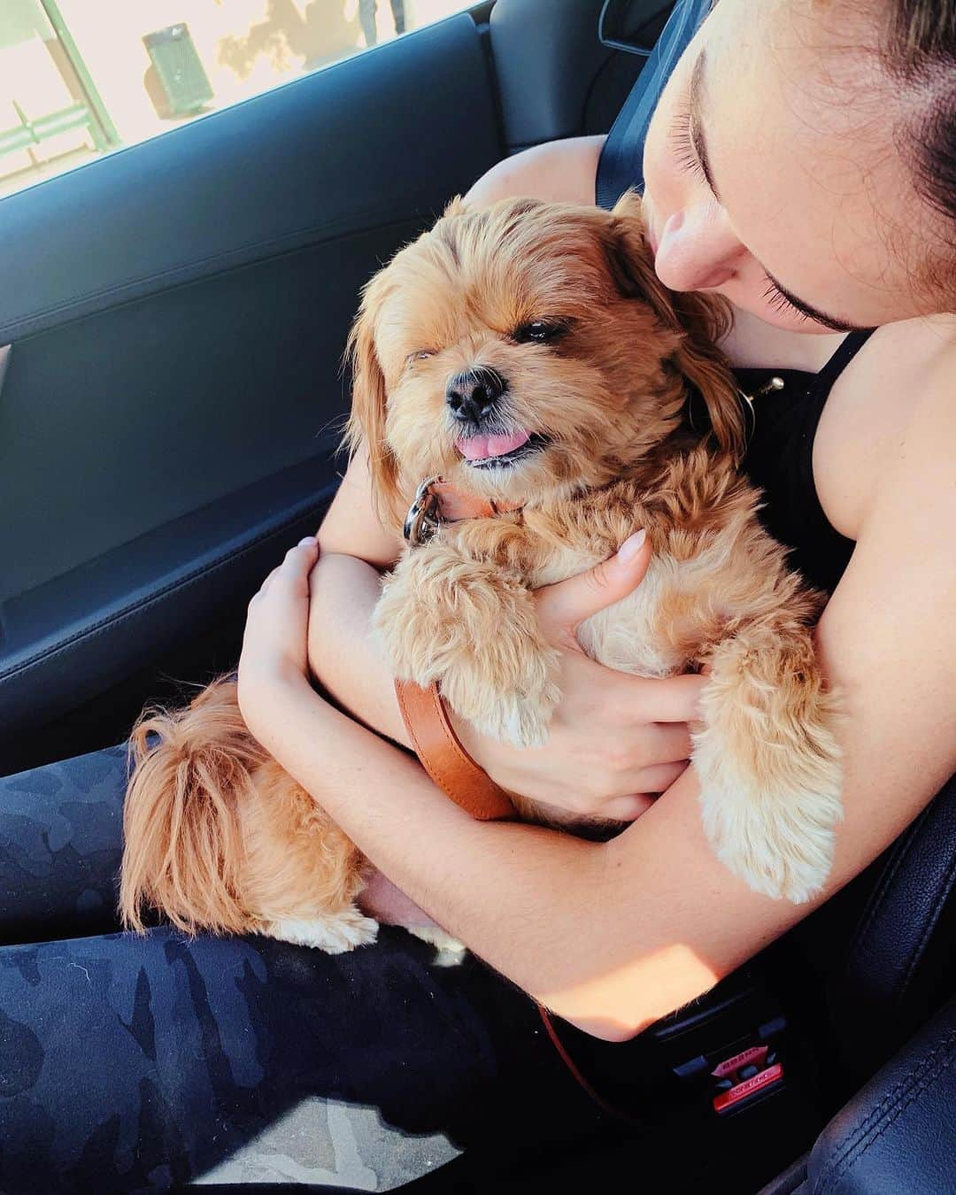 アーデン・チョーさんのインスタグラム写真 - (アーデン・チョーInstagram)「DAY 7 - #OtherPeopleChallenge Happy to start the day off with a great hike, even though I had to carry @chewy_cho for most of it (she extra bougie today) + great talks & yummy brunch with @kaylee.bryant so much love this morning! ♥️」11月20日 6時13分 - arden_cho