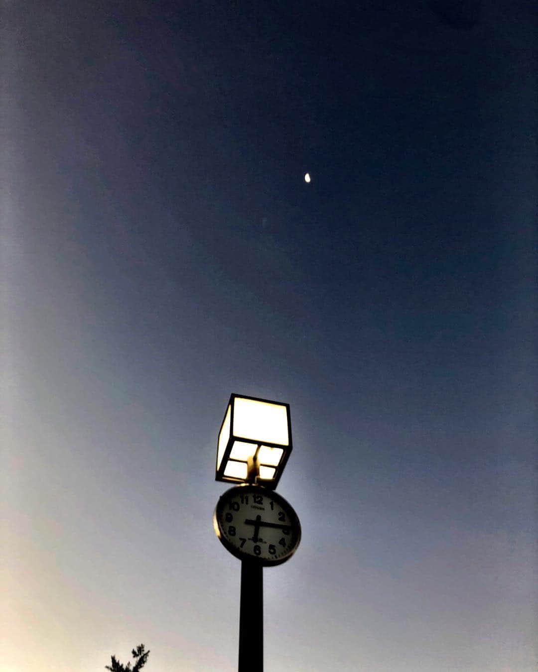 南博さんのインスタグラム写真 - (南博Instagram)「#The#n#moon#daydawn#tokyo#minamihiroshi.com」11月20日 6時20分 - hiroshi_minami5_0