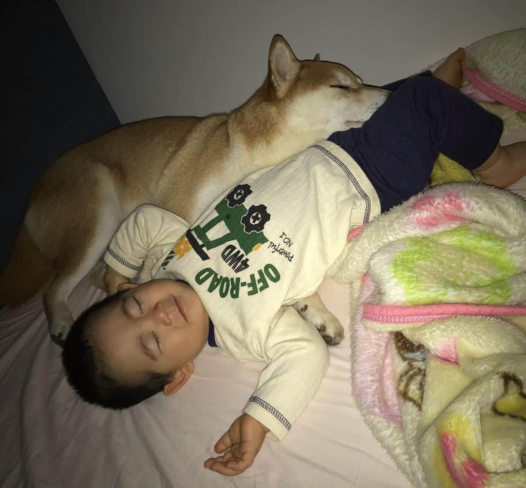 高橋みゆきのインスタグラム：「おやすみなさい⭐💤🐶👶」