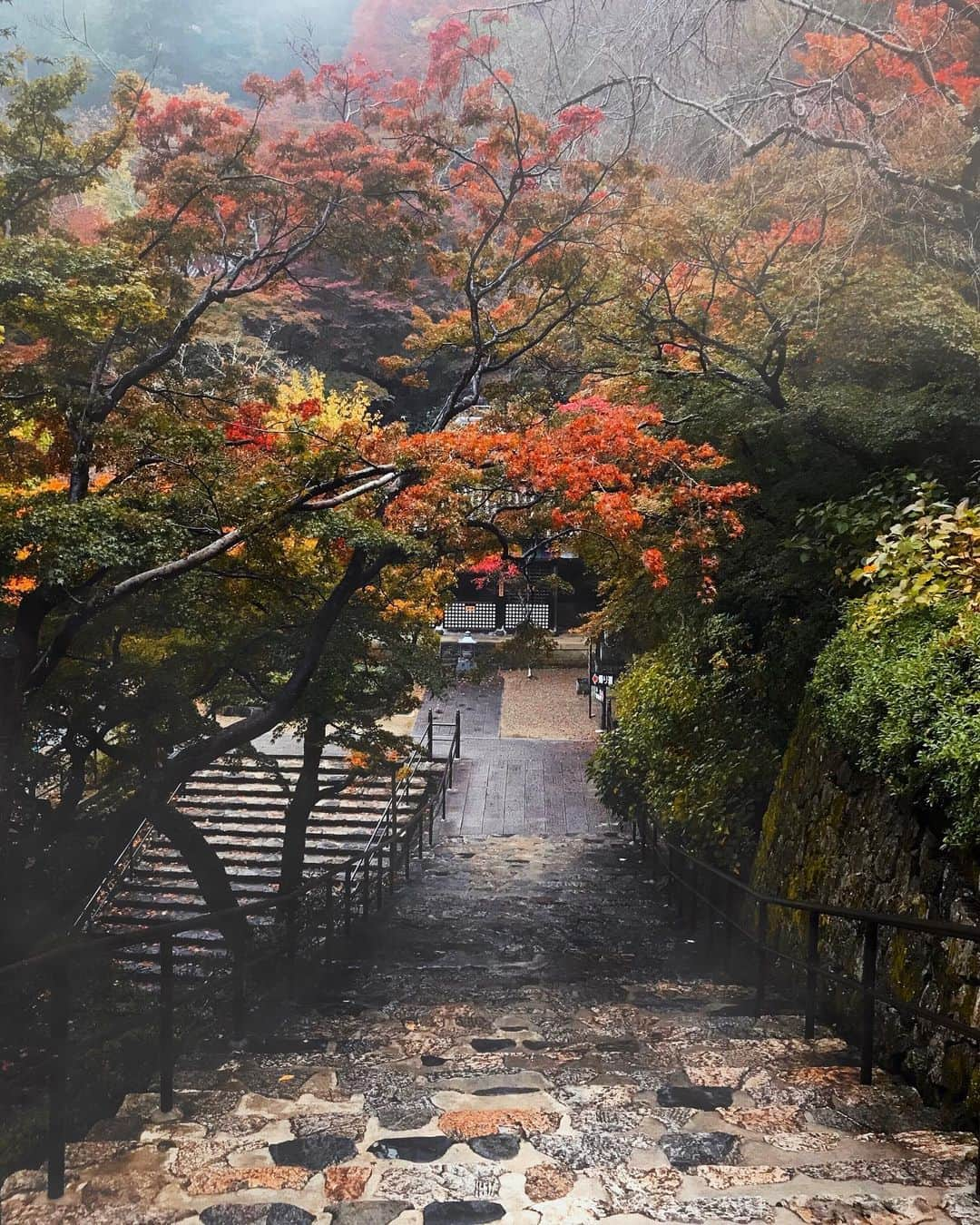 Koichiのインスタグラム：「| 🍁 Misty autumn . #BeautifulJapan #奈良長谷寺 #奈良 #Nara . #ShotOniPhone Attachment lens by @tokyo_grapher #TG_wide #ShotOn_TG .」