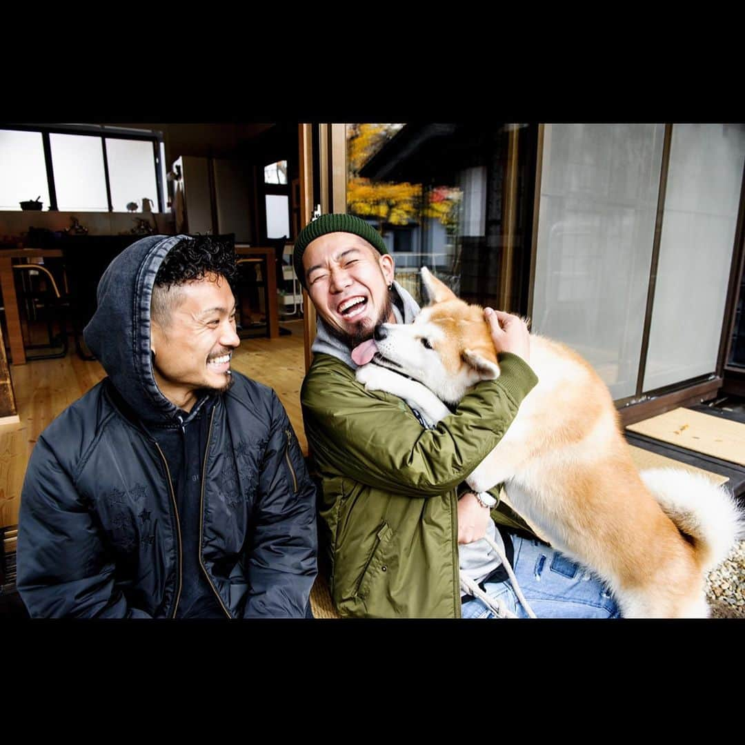 KENTAさんのインスタグラム写真 - (KENTAInstagram)「秋田犬×WANIMA。﻿ ﻿ 都内に連れて帰るしかないやろ。﻿ ﻿ フォトバイジョン。﻿ ﻿ #秋田犬﻿ #WANIMA﻿」11月19日 22時38分 - wanimakenta