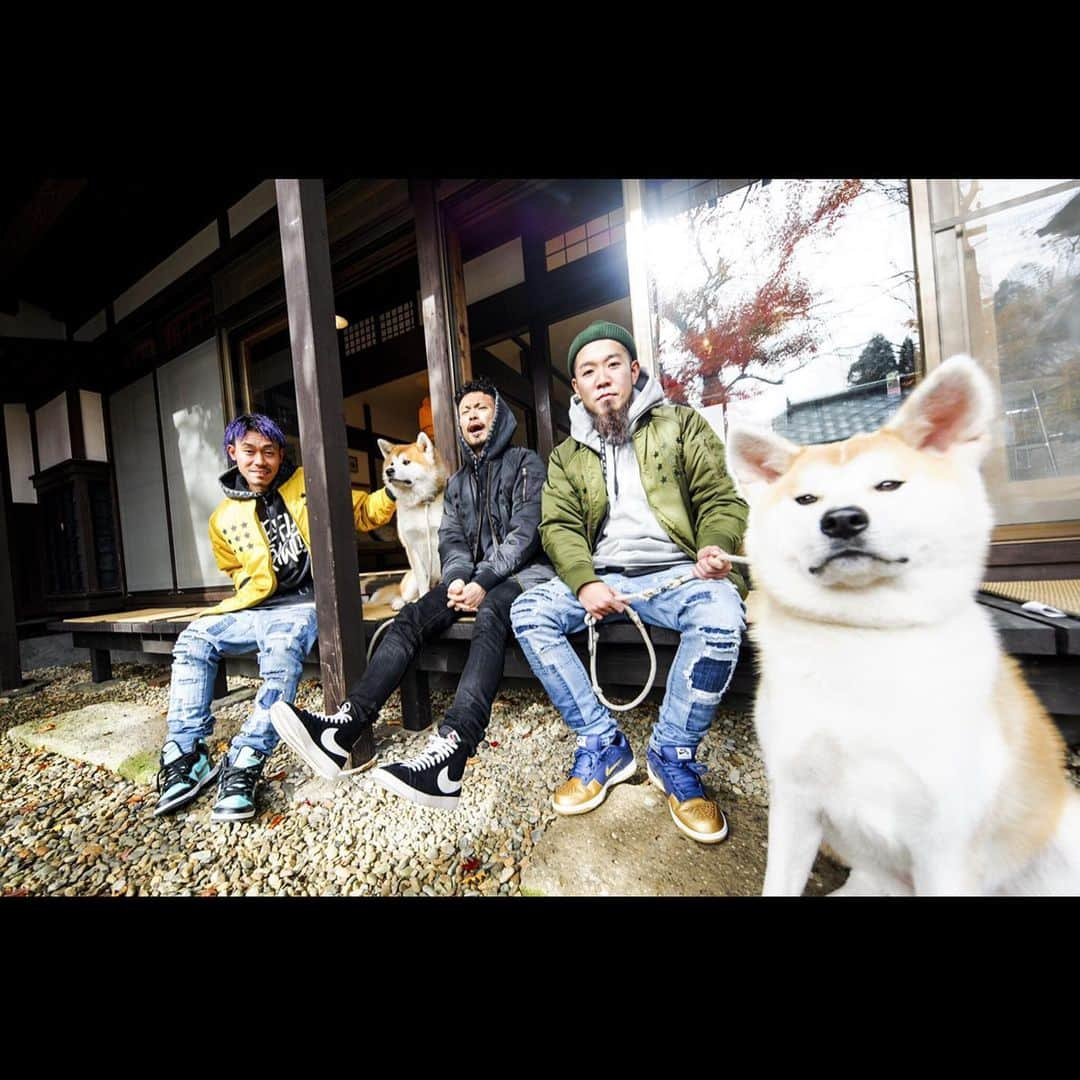 KENTAさんのインスタグラム写真 - (KENTAInstagram)「秋田犬×WANIMA。﻿ ﻿ 都内に連れて帰るしかないやろ。﻿ ﻿ フォトバイジョン。﻿ ﻿ #秋田犬﻿ #WANIMA﻿」11月19日 22時38分 - wanimakenta