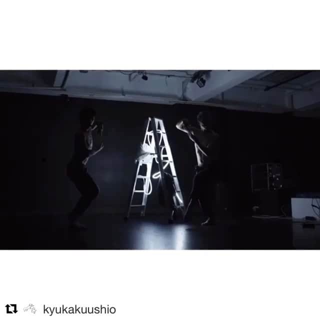 石橋穂乃香のインスタグラム：「Everybody please come to see our show “Sprinkling a Wonderful Coincidence”. We are KYUKAKUUSHIO.  #きゅうかくうしお #辻本知彦 #森山未來 #石橋穂乃香 #河内崇 #中原楽 #松澤聰 #村松薫 #矢野純子 #吉枝康幸 #横浜赤レンガ倉庫 #香港 #素晴らしい偶然をちらして」