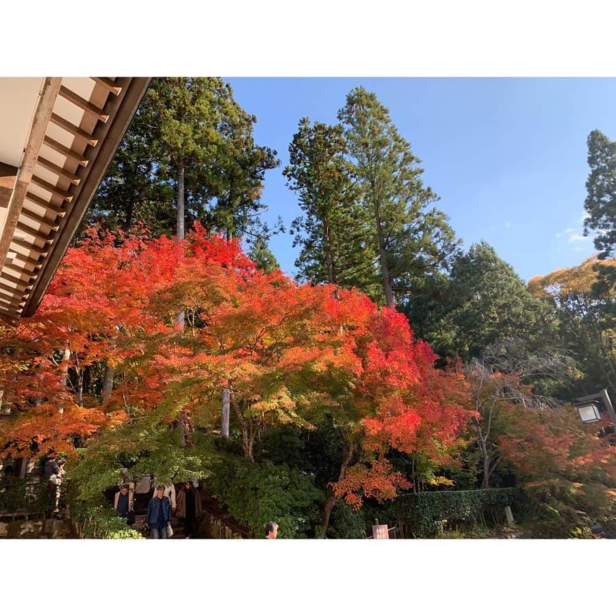 檜垣すみれのグルメインスタ