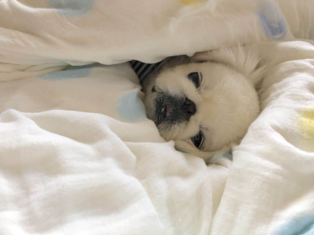 こなつのインスタグラム：「あったかにーず💭💓💭💓💭💓」