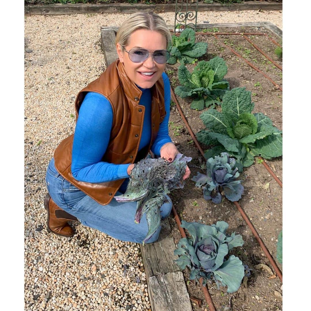 ヨランダ・ハディッドさんのインスタグラム写真 - (ヨランダ・ハディッドInstagram)「❤️When the bugs eat the final crop of the season.... #OrganicFarming」11月19日 23時08分 - yolanda.hadid