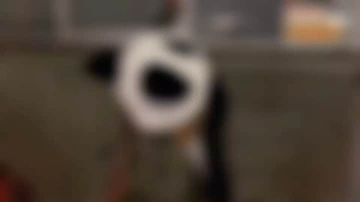 のインスタグラム：「https://www.youtube.com/watch?v=La7rNot1GSc&feature=share  物件内見ロケしてます！ 観てください！」