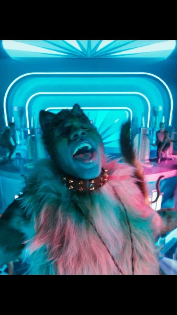 ジェイソン・デルーロのインスタグラム：「New Cats trailer just dropped 🔥」