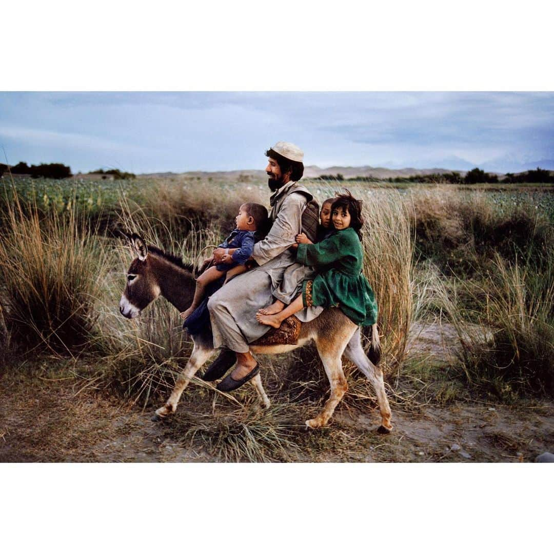 スティーブ・マカリーさんのインスタグラム写真 - (スティーブ・マカリーInstagram)「This father in Northern Afghanistan takes his children home from a trip to the market on their donkey. #Maimana, #Afghanistan, 2003.  This image is featured in my new book, “Animals,” link in my bio to purchase.」11月20日 1時58分 - stevemccurryofficial